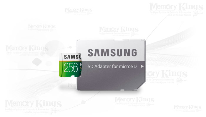 MEMORIA micro SD 256GB SAMSUNG EVO SELECT