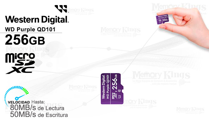 MEMORIA micro SD 256GB WD Purple QD101 Class 10 - Memory Kings, lo mejor en  equipos de computo y accesorios