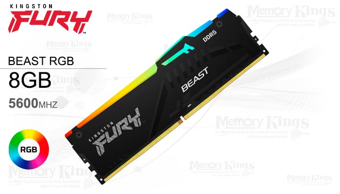 MEMORIA DDR5 8GB 5600 FURY Beast RGB