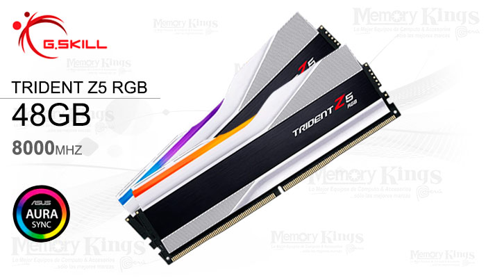 MEMORIA DDR5 48GB 8000 CL40 G.SKILL TZ5RS 2x24GB RGB SILVER