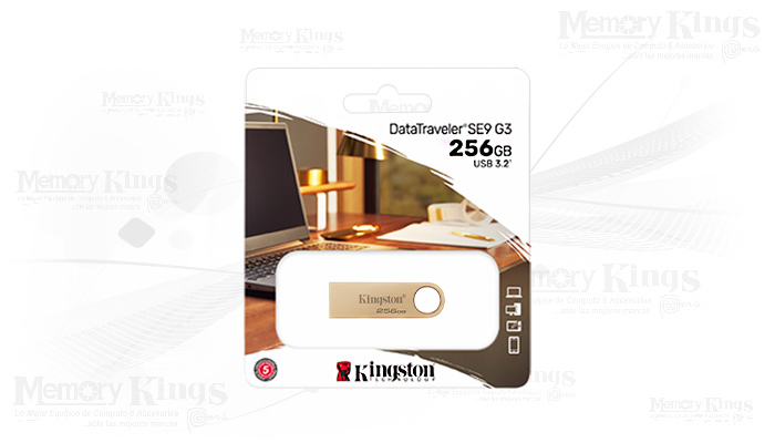 MEMORIA USB 256GB KINGSTON DT SE9 G3 metal gold